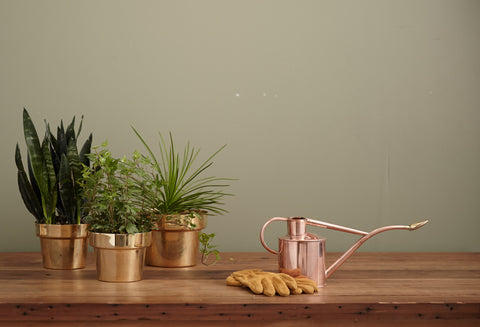CATALOG